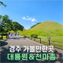 경주 여행 코스 대릉원 천마총 입장료 운영시간 포토존 내부 관람 꿀팁 총정리