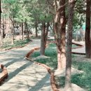 산책길 이미지