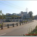 여수중앙여자고등학교 이미지