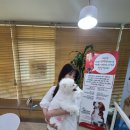 디오 동물병원 이미지