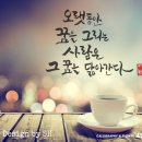 캘리그라피 붓펜반 이미지