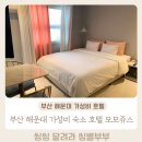 호텔모모주스 이미지
