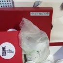 소유뱅갈캐터리 이미지