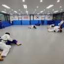 브로스 유도관 이미지