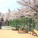 신트리공원 농구장 이미지