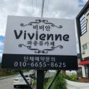 파충류카페 비비안 이미지