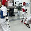 도담 꿈의 태권도장 이미지