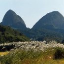 마이산도립공원 일원 이미지