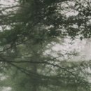 (합)산아리관광 이미지