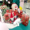 새로나 파크 | 생활 속 크리스마스, 특별한 순간을 기록하다