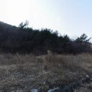 고흥골프장 이미지