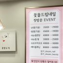 꽃물드림 이미지