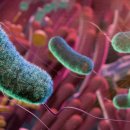 CW-1300-01 이미지