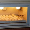 행복한신선농장 이미지