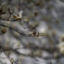 금호동 장미아파트 이미지