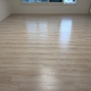 나은 강아지나라 이미지