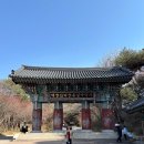 오란다 | 예산 수덕사 맛집 아리곳간, 딱딱하지 않은 인생 오란다 찾은 후기