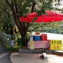 아지매김밥 Daum카페