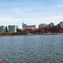 일산호수공원 이미지