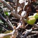 사랑밭재활원 이미지