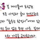 라비센샐러드