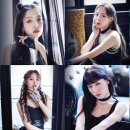 보토패스 카카오 검색결과