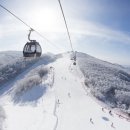 비고리조트 12 이미지