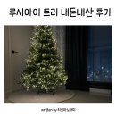 180 | 아기있는 집 냄새없고 안전한 루시아이 트리 180 설치 후기