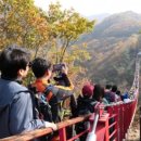 텃골쉼터 이미지