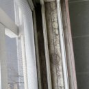 조산1길 이미지