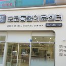 모코동물의료센터 이미지