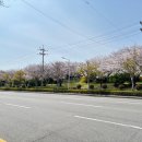 삼락주유소 이미지