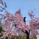 (주)유토피아퓨처