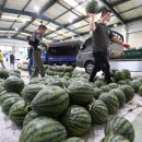 청과물처리장 이미지