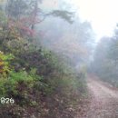 웰컴투오미골 이미지