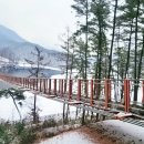 출렁다리 카페 이미지