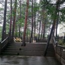 포레스트독 | 양양 글램독 애견펜션 2박 3일 내돈내산 후기(303호)