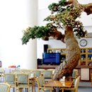 천연노래연습장 이미지