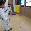 한양대 송라 태권도장 이미지