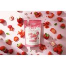 대학애견용품 이미지