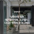신바람 P.C | 남한산성 힙한 애견동반카페, 코코밸리.! 다녀본 팻카페 중 최고예요