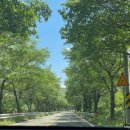 툴라 운문점 이미지