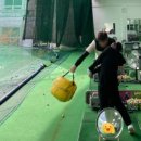 뉴비치골프연습장 이미지