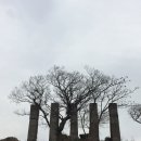 제주 이교동 일제군사시설 | 제주 다크투어 - 제주도 겨울여행 2