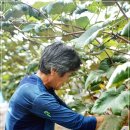 송산농산 네이버블로그