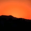 운심농장 이미지