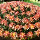 청암무역 이미지