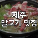 함덕 조아 | 제주도 말고기 맛집 마리조아 본점 조아코스요리2인 저녁식사 솔직후기