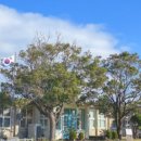 명월초등학교 이미지