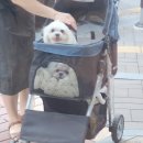 재궁근린공원
